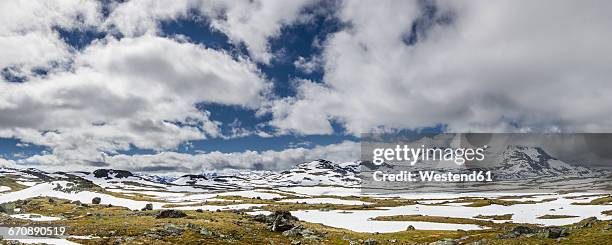 southern norway, jotunheimen national park, panoramic view at sognefjell - norway national day 2016 stock-fotos und bilder