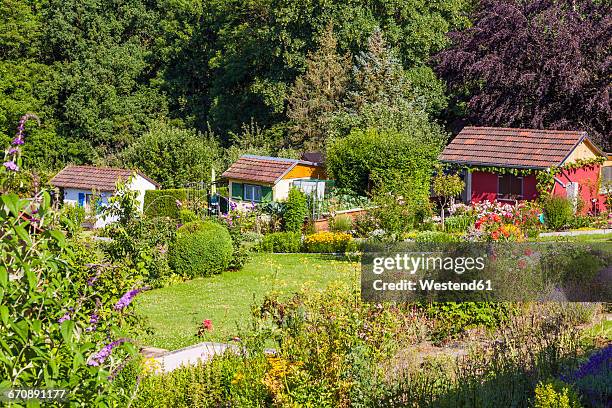 germany, esslingen, garden allotments with summer houses - community garden stock-fotos und bilder