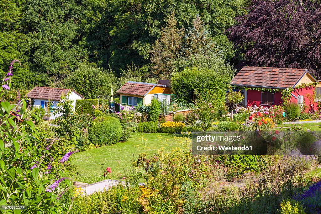 Germany, Esslingen, garden allotments with summer houses