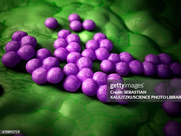 mrsa bacteria - staphylococcus aureus stock illustrations
