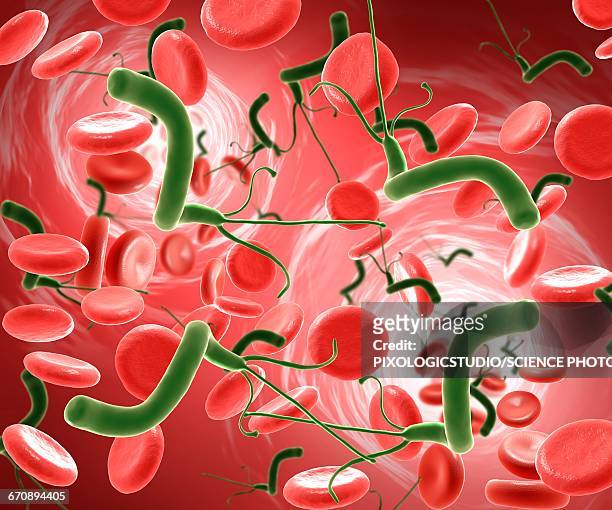 helicobacter pylori, illustration - helicobacter pylori stock-grafiken, -clipart, -cartoons und -symbole
