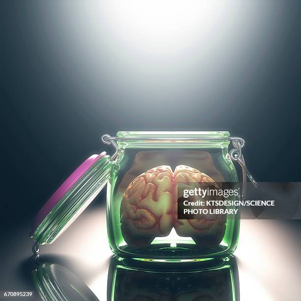 human brain in glass jar with lid open - brain in a jar stock illustrations