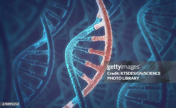 dna molecules, illustration - rna stock illustrations