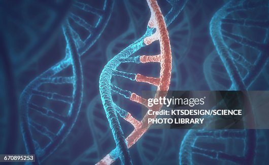 DNA molecules, illustration DNA molecules, illustration