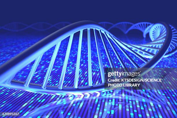 dna sequencing, illustration - nucleotide stock illustrations