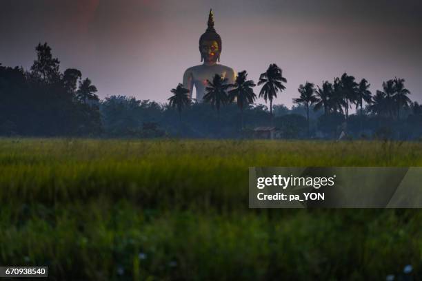 a biggest buddha in thailand - buddha stock-fotos und bilder