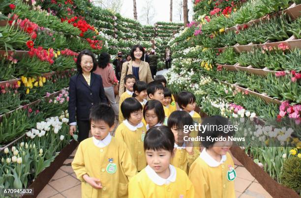 17 Tonami Tulip Fair Stock Photos, High-Res Pictures, and Images ...