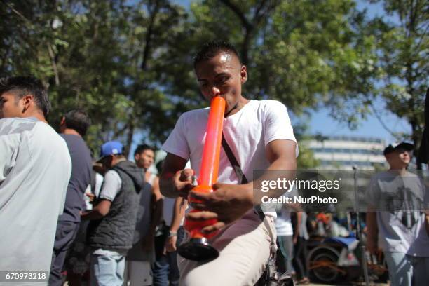 People smokes Marijuana joints during the 420 international day celebrated as well in Mexico City, April 2017.