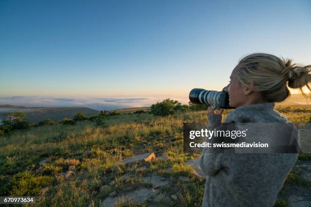 junge frau auf safari landschaft fotografieren - südafrika safari stock-fotos und bilder