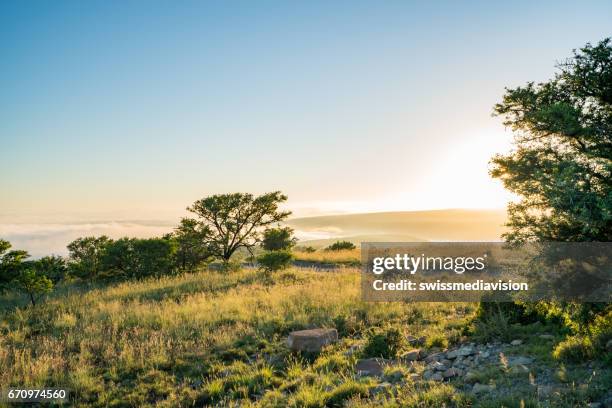 sonnenaufgang über den wolken in der savanne - mountain zebra national park stock-fotos und bilder