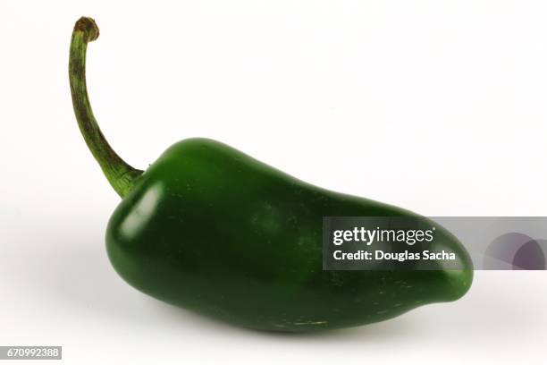 ripe green jalapeno pepper (capsicum annuum) - jalapena stock pictures, royalty-free photos & images