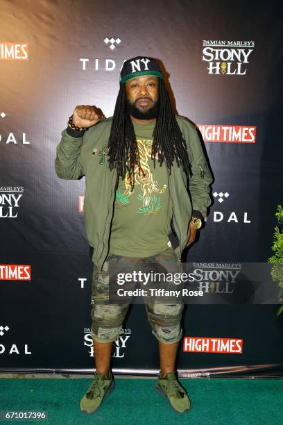 Super Natural attends the Tidal X: High Times Magazine 4/20 Celebration Hosted By Damien "Jr. Gong" Marley at Boulevard3 on April 20, 2017 in Los...