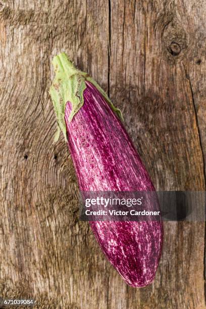 purple eggplant - moussaka stockfoto's en -beelden
