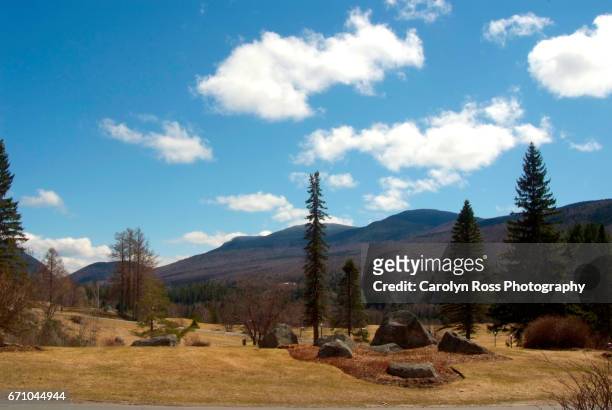 view of bretton woods, new hampshire. - carolyn ross stock pictures, royalty-free photos & images