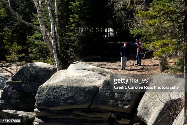 white mountain national forest - carolyn ross stockfoto's en -beelden