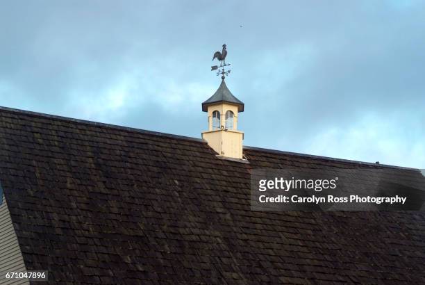 weather vane - carolyn ross stock pictures, royalty-free photos & images