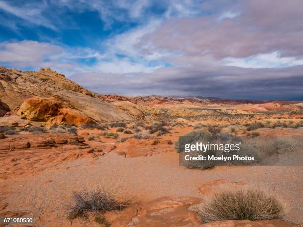 valley of fire state park-rainbow view - deserto de mojave - fotografias e filmes do acervo
