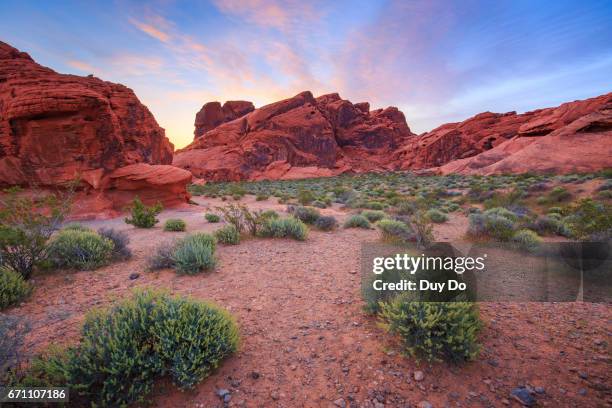 sunrise landscape at valley of fire state park, south of overton, nevada - valley of fire staatspark stock-fotos und bilder