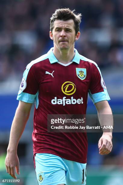 Joey Barton of Burnley during the Premier League match between Everton and Burnley at Goodison Park on April 15, 2017 in Liverpool, England.