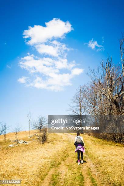 beautiful spring landscape. golden meadow, path,  deep blue sky, horizont and two hikers silhouette. jablanik mountain, serbia, europe - horizont stock pictures, royalty-free photos & images