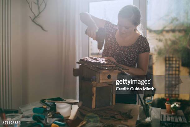 woman building a bird house. - drill stockfoto's en -beelden