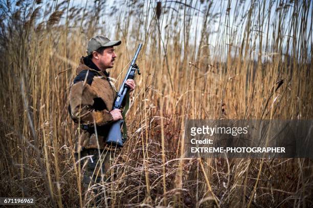 hunter in the grass - hunting rifle stock pictures, royalty-free photos & images