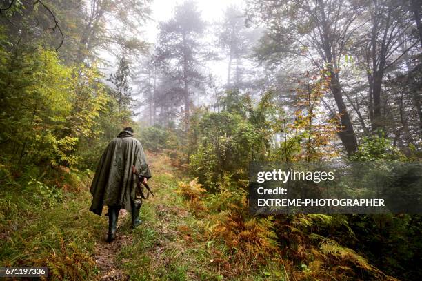 hunter in the woods - woodland camo stock pictures, royalty-free photos & images