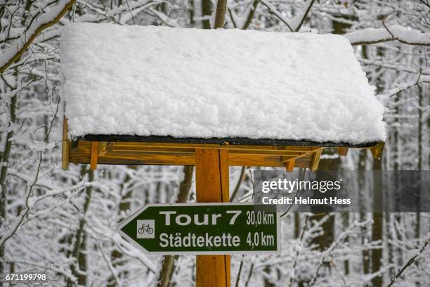 a walk in the wintry woods - wegweiser imagens e fotografias de stock