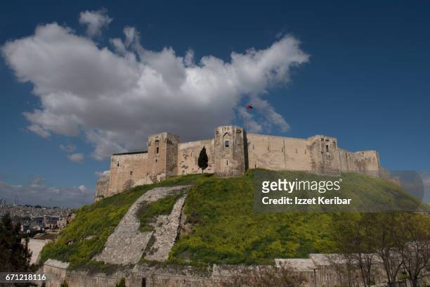 the fort of gaziantep, southeastern turkey - castle stockfoto's en -beelden