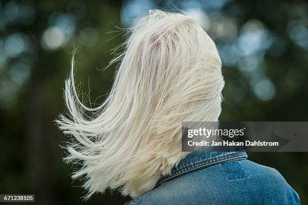 white hair blowing in the wind - bleached hair fotografías e imágenes de stock