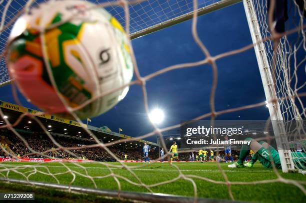 David Stockdale of Brighton and Hove Albion lays on the floor after scoring his first own goal of the match during the Sky Bet Championship match...