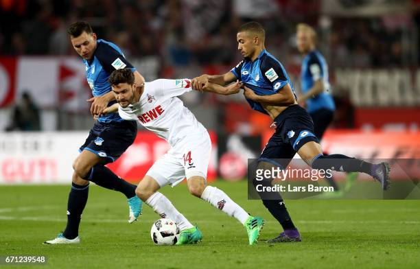 Jonas Hector of Koeln and Adam Szalai and Jeremy Toljan of Hoffenheim battle for the ball during the Bundesliga match between 1. FC Koeln and TSG...