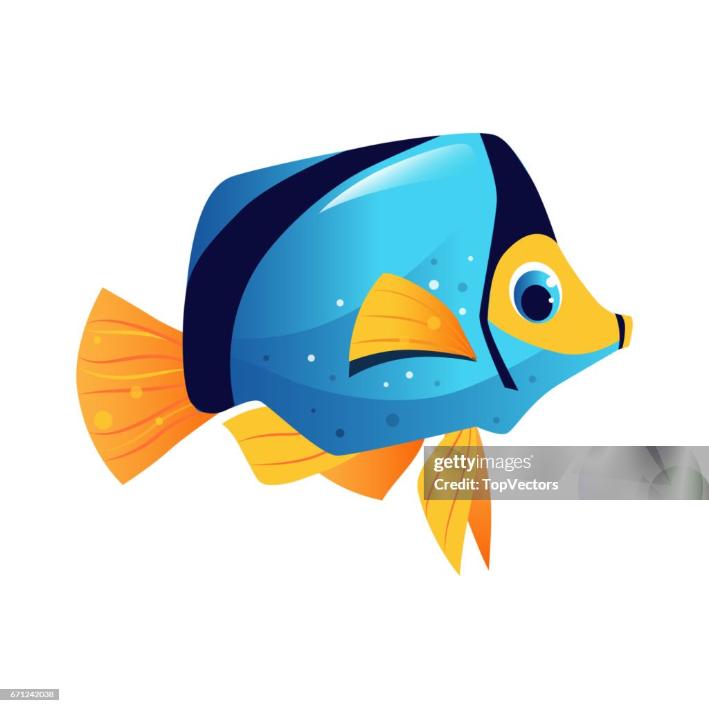 Pez Cirujano Azul Mar Tropical Peces De Acuario Personaje De Dibujos  Animados Coloridos Ilustración de stock - Getty Images