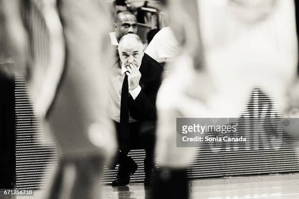 Pablo Laso, coach of Real Madrid during the 2016/2017 Turkish Airlines Euroleague Play Off Leg Two between Real Madrid and Darussafaka Dogus Istanbul...