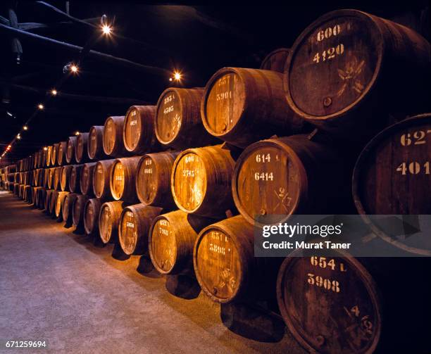 wine cellar in porto - wine barrel stock pictures, royalty-free photos & images