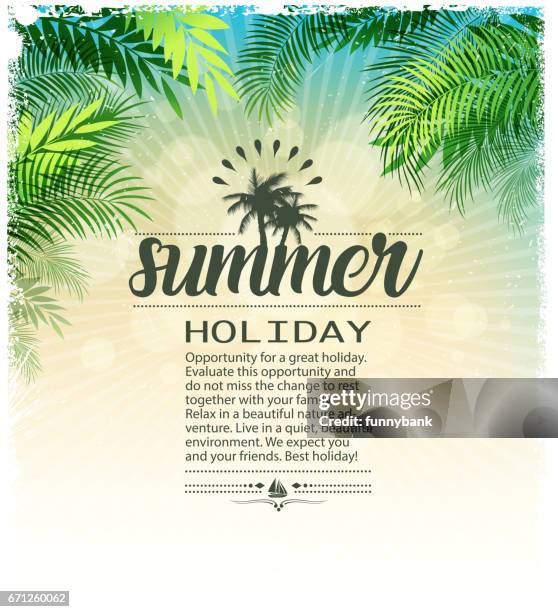 shining botany - hawaii islands stock illustrations