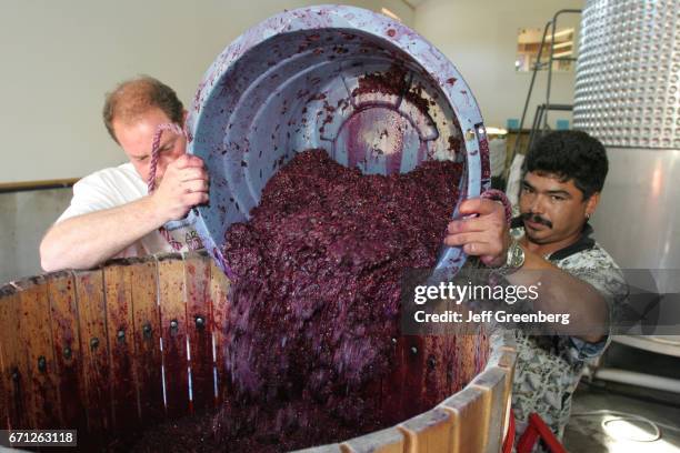 Workers with a tub of pressed grapes at Domaine Berrien Cellars.