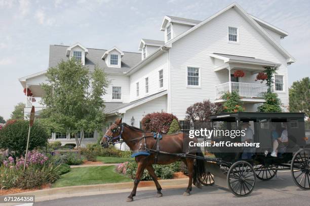 Horse-drawn Amish buggy ride on Harrison Street.