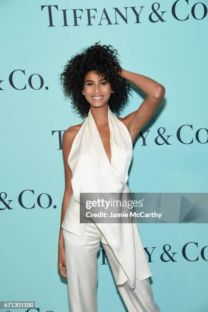 Model Imaan Hammam attends the Tiffany & Co. 2017 Blue Book Collection Gala at ST. Ann's Warehouse on April 21, 2017 in New York City.