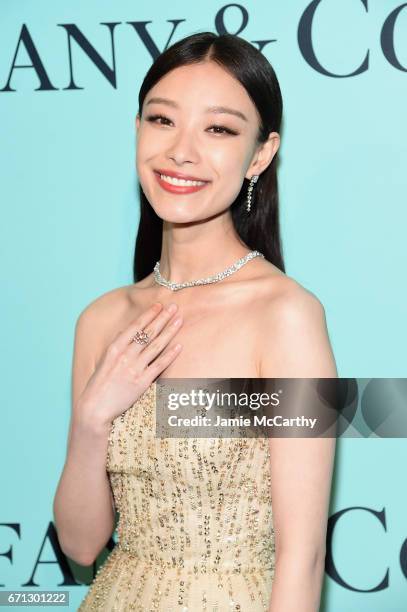 Actress Ni Ni attends the Tiffany & Co. 2017 Blue Book Collection Gala at ST. Ann's Warehouse on April 21, 2017 in New York City.
