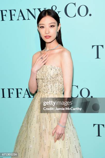 Actress Ni Ni attends the Tiffany & Co. 2017 Blue Book Collection Gala at ST. Ann's Warehouse on April 21, 2017 in New York City.