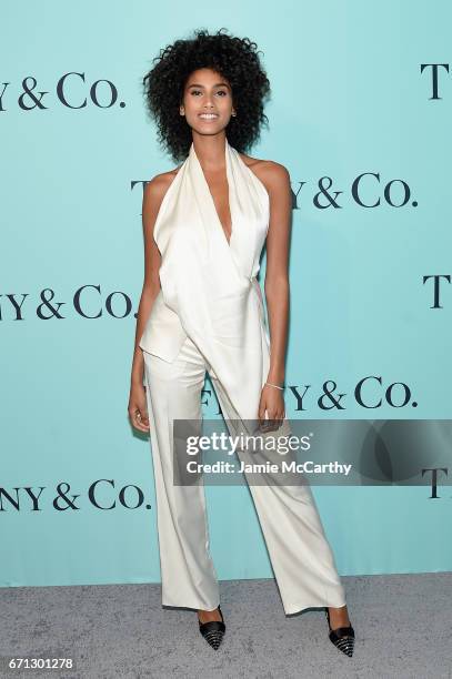 Model Imaan Hammam attends the Tiffany & Co. 2017 Blue Book Collection Gala at ST. Ann's Warehouse on April 21, 2017 in New York City.