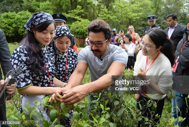 Bollywood actor Aamir Khan picks tea leaves at Mount Qingcheng on April 20, 2017 in Chengdu, China.