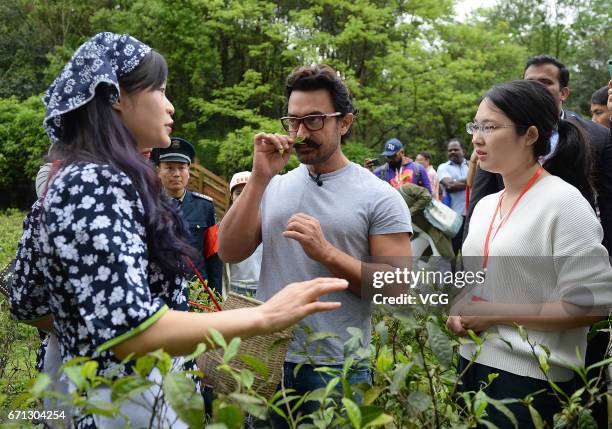 Bollywood actor Aamir Khan picks tea leaves at Mount Qingcheng on April 20, 2017 in Chengdu, China.