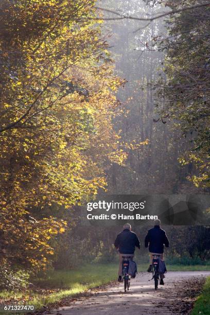 cycling through the forest - hans barten stockfoto's en -beelden