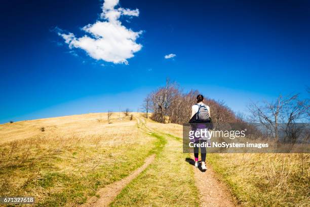 primavera linda paisagem. prado dourado, caminho, céu azul profundo, horizont e silhueta de dois caminhantes. jablanik montanha, sérvia, europa - horizont - fotografias e filmes do acervo