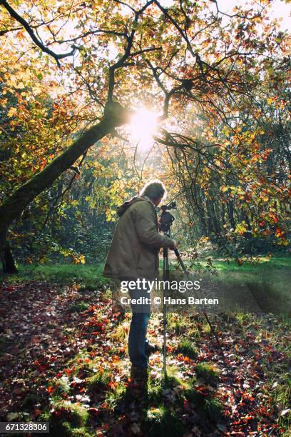 photographer - hans barten stock pictures, royalty-free photos & images