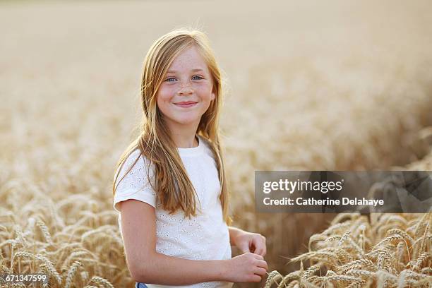 a 8 years old girl in a wheat field - 8 9 years imagens e fotografias de stock