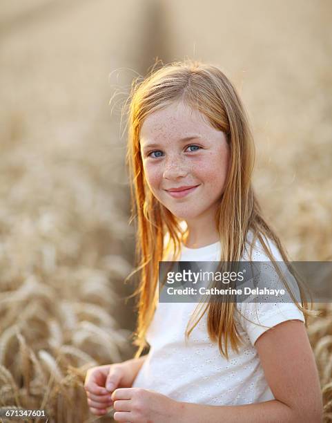 a 8 years old girl in a wheat field - 8 9 years stock-fotos und bilder