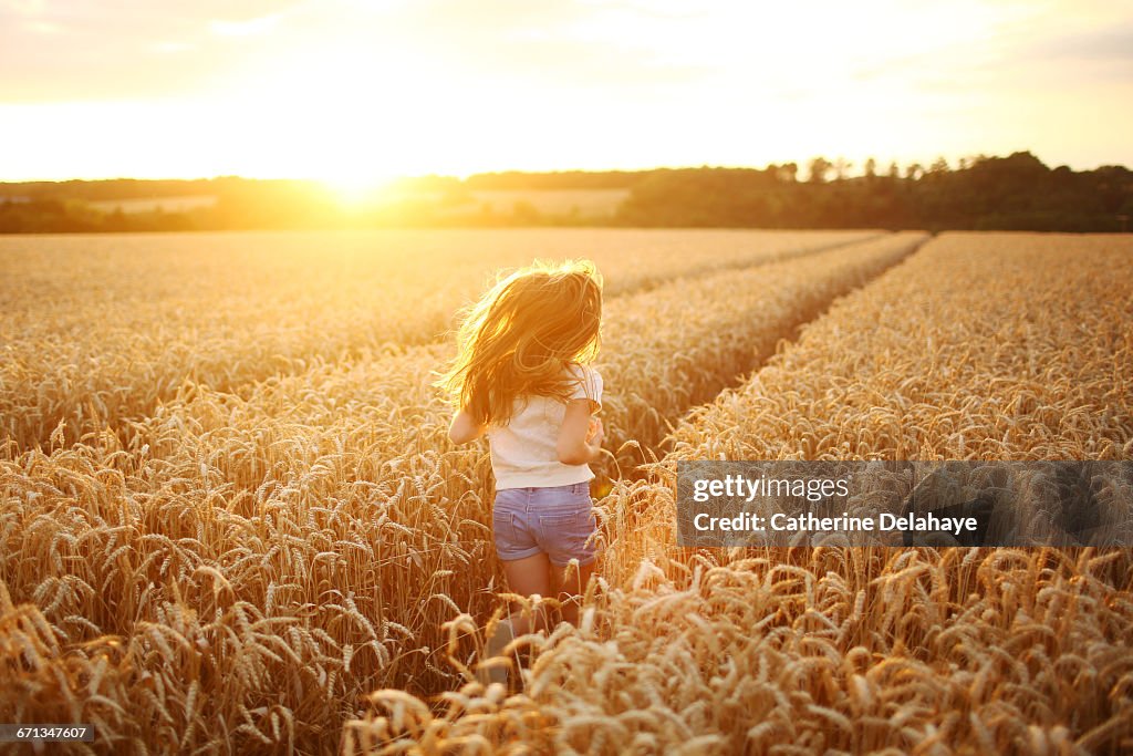 A 8 years old girl in a wheat field